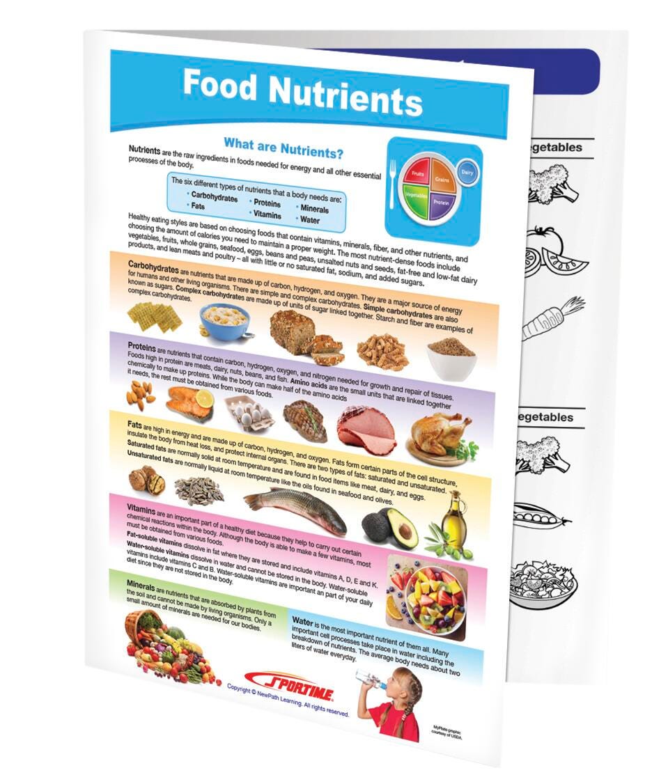 Image for Sportime Food Nutrients Visual Learning Guide, 4 Pages, Grades 5 to 9 from School Specialty